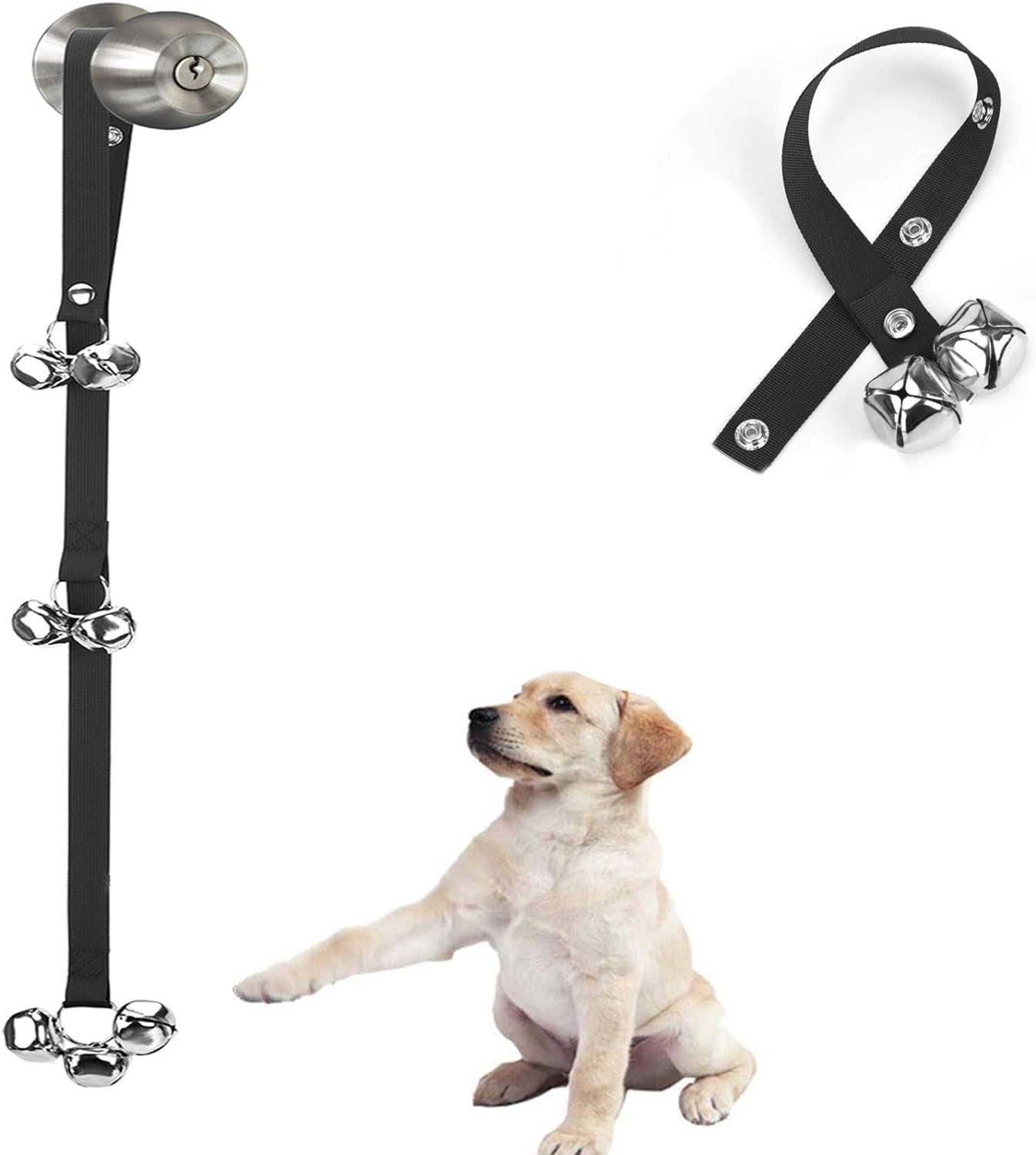 Puppy Potty Training Bells